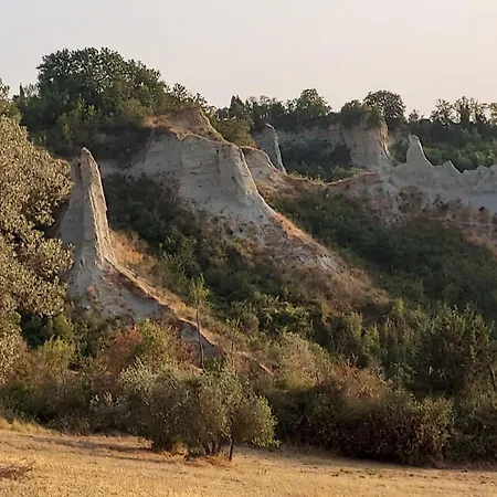 Tinti Chianti Tuscany